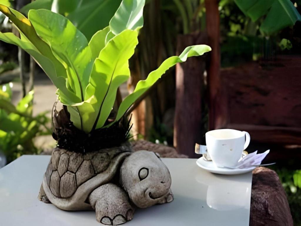 Tanisa Resort Chumphon Εξωτερικό φωτογραφία