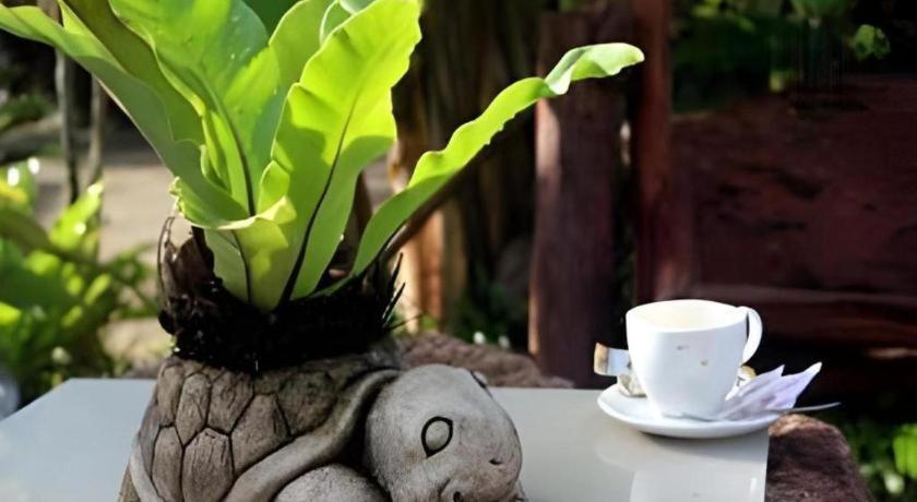 Tanisa Resort Chumphon Εξωτερικό φωτογραφία